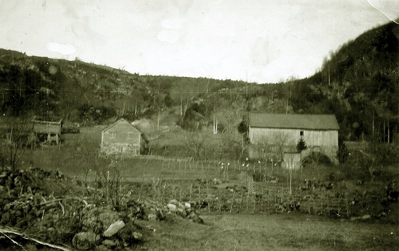 Ytre Reksnes.jpg - Reksnes, Ytre, brn 2, ca. 1925